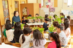 園内保育実践研修(のぎく保育園)
