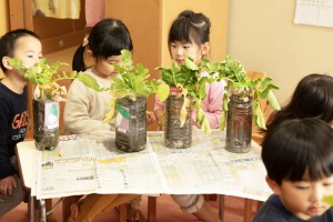 園内保育実践研修(のぎく保育園)