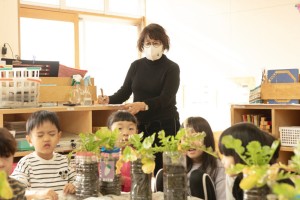 園内保育実践研修(のぎく保育園)