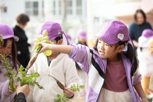 園内保育実践研修(のぎく保育園)
