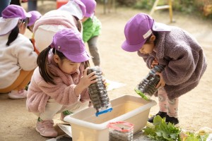 園内保育実践研修(のぎく保育園)