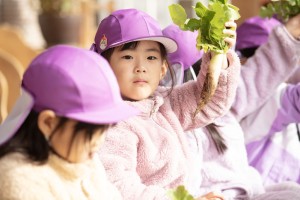 園内保育実践研修(のぎく保育園)