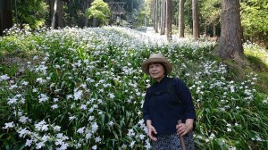 白内障&賤ケ岳&素敵な友人