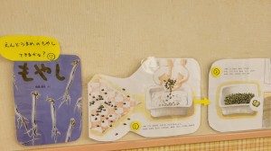 すくすく保育園園内研修