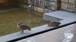 100年先の敦盛の面