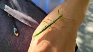 孫と二人、撮り鉄旅行 ―大井川鐵道へー