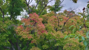 横は見ず、前見て進もう！！
