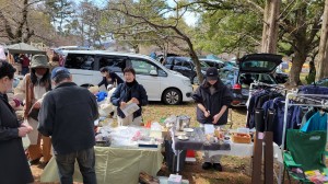 膳所公園さくら祭り