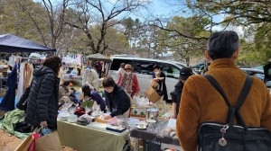 膳所公園さくら祭り