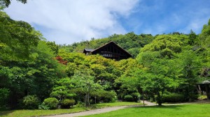 6月は芸術の初夏??となりました!