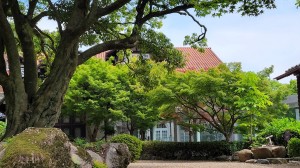 6月は芸術の初夏??となりました!