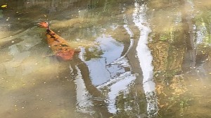 6月は芸術の初夏??となりました!