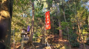 初詣　立木観音