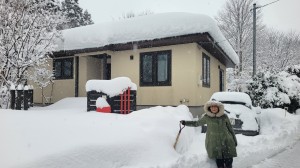 ２０２６年１月のマキノ