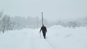 ２０２６年１月のマキノ