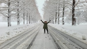 ２０２６年１月のマキノ